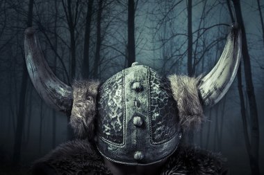 Viking Savaşçısı