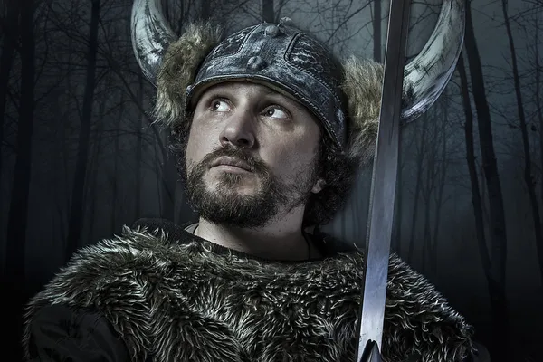 Viking warrior — Stock Photo, Image