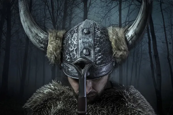 Viking Savaşçısı