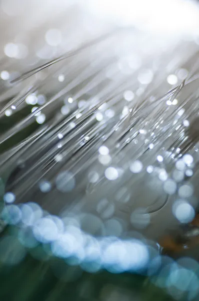 Optical fiber — Stock Photo, Image