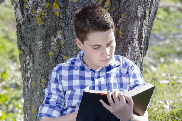 Young boy reading a book — Stock Photo, Image