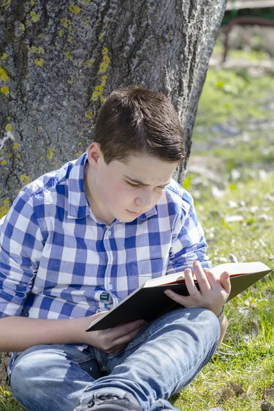 Jonge jongen lezen van een boek — Stockfoto