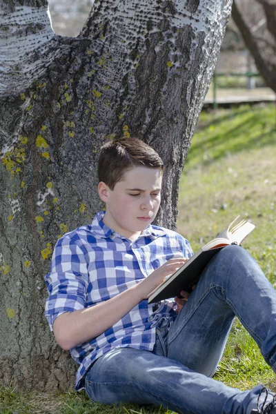 Ung dreng læser en bog - Stock-foto