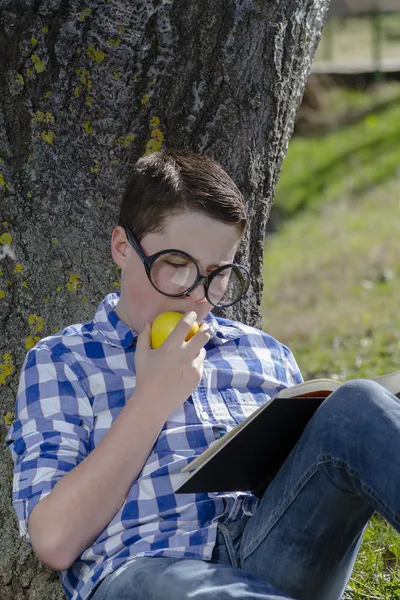 Young boy reading a book — Stock Photo, Image