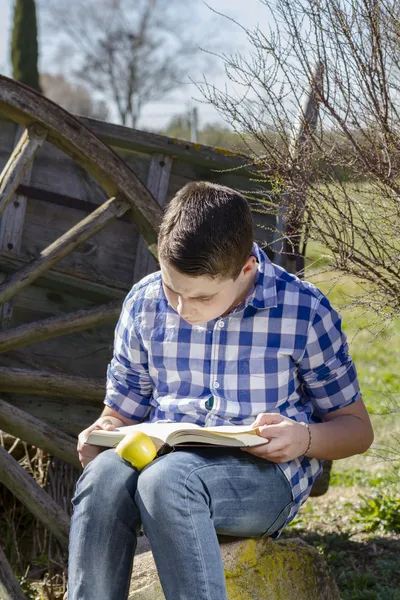 Boy reading a book in the woods — Stock Photo, Image