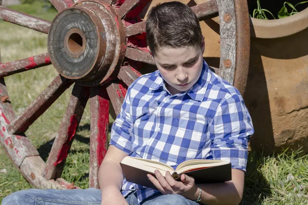 荷馬車の車輪の横に横たわっている少年 — ストック写真