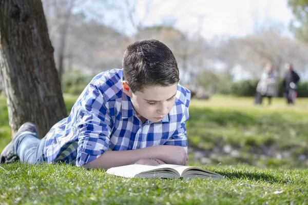 Jongen die een boek leest — Stockfoto