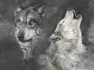 Wolfs, el yapımı illüstrasyon