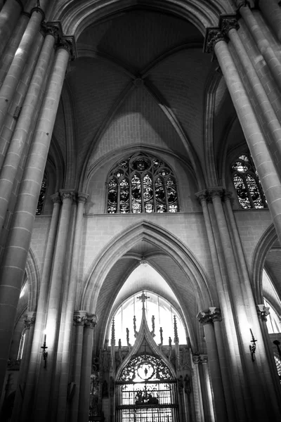 Katedral iç — Stok fotoğraf