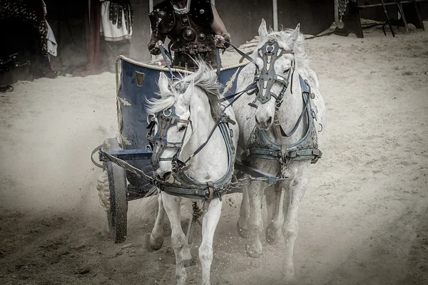 Roman chariots — Stock Photo, Image