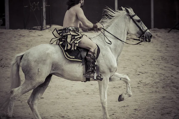 Vechter en paard — Stockfoto