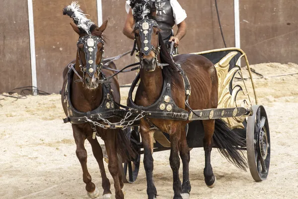 Roman chariot in a fight of gladiators — Stock Photo, Image