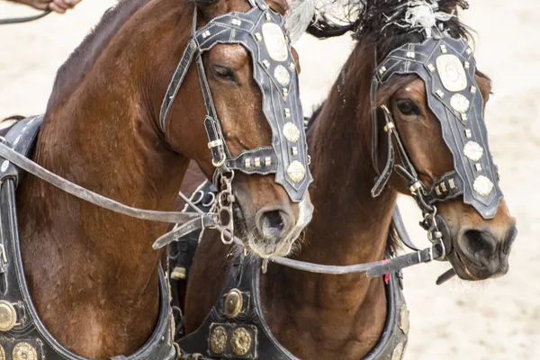 Carruagem romana em uma luta de gladiadores — Fotografia de Stock