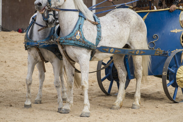 Roman chariots