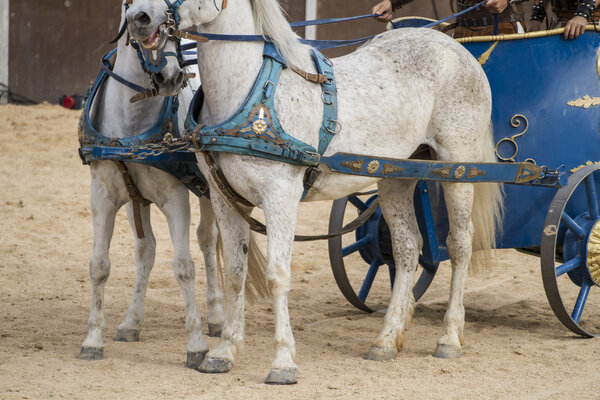 Roman chariots