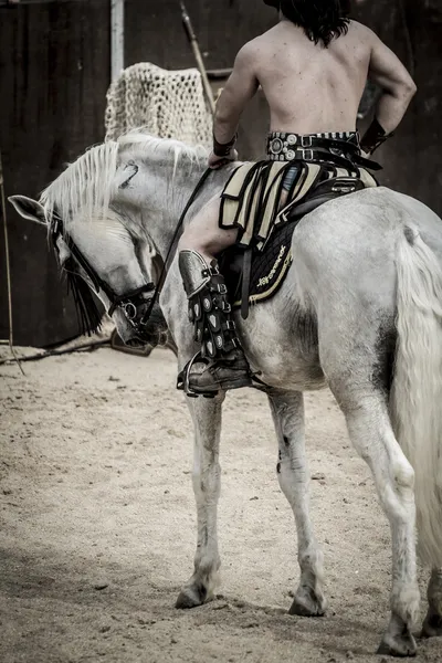 Combatiente y caballo — Foto de Stock