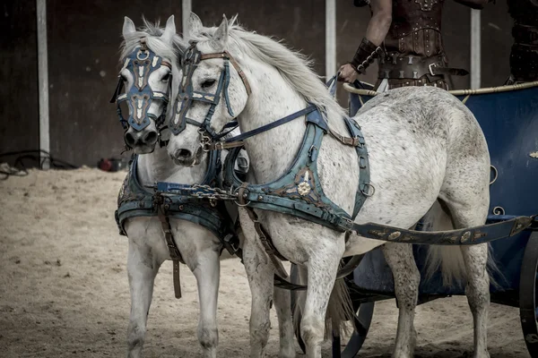 Римские колесницы — стоковое фото