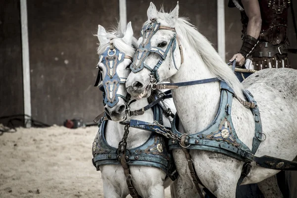 Romeinse strijdwagens — Stockfoto