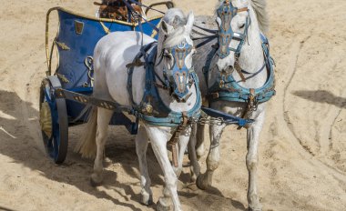 Roma arabaları