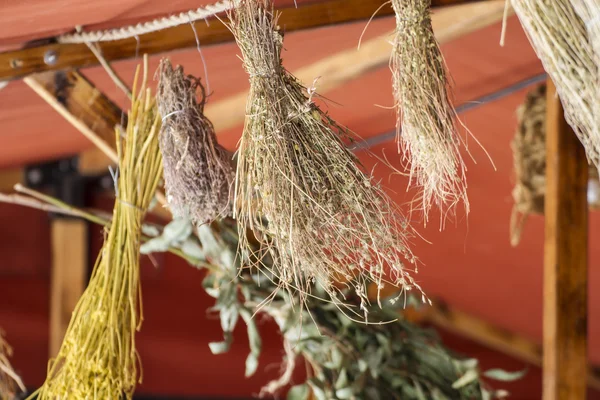 Sample herbs drying — Stock Photo, Image