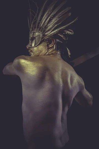 Adam kanatları ve altın kask — Stok fotoğraf
