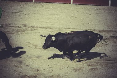 geleneksel İspanyol parti