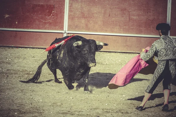 Fête traditionnelle espagnole — Photo