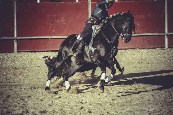 Traditionella spanska part — Stockfoto