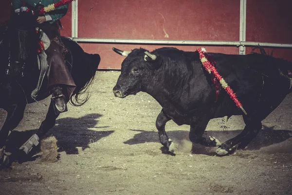 Traditionelle spanische Partei — Stockfoto