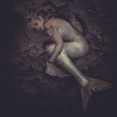 Mermaid trapped in sea of mud