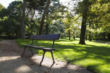 Yapraklı ağaçlar ile güzel park