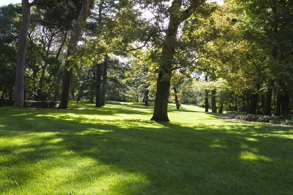 Belo parque com árvores frondosas — Fotografia de Stock