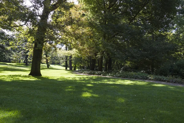 Nádherný park s listnatými stromy — Stock fotografie