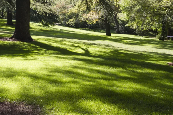 Prachtig park met loofbomen — Stockfoto