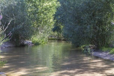 Alberche nehir Toledo