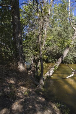 Alberche nehir Toledo