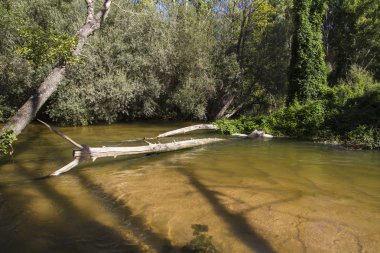 Alberche nehir Toledo