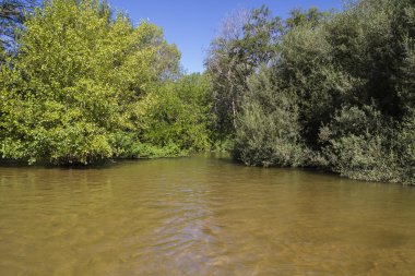 Alberche nehir Toledo