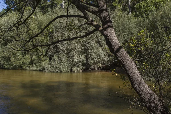 Alberche nehir Toledo — Stok fotoğraf