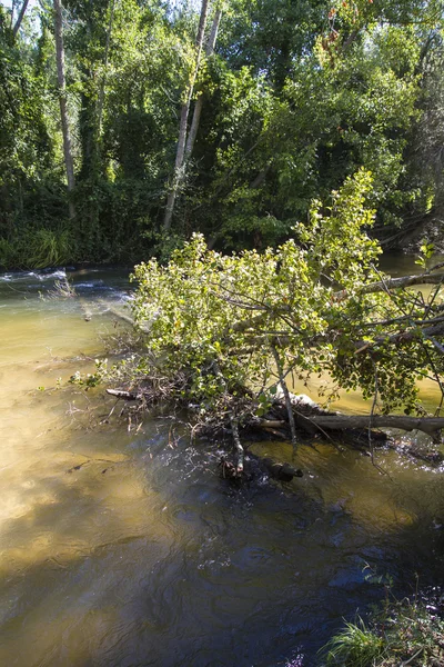 Alberche rive de Tolède — Photo