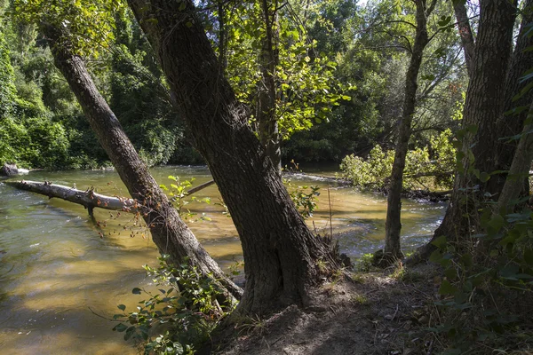 Alberche riverbank a Toledo — Foto Stock