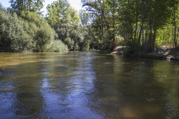 Alberche riverbank a Toledo — Foto Stock