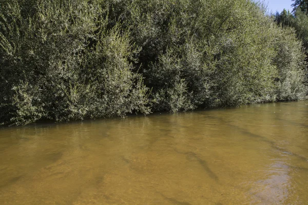 トレドの Alberche 河岸侵食 — ストック写真