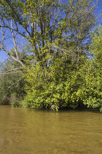 Alberche riverbank in Toledo — Stock Photo, Image