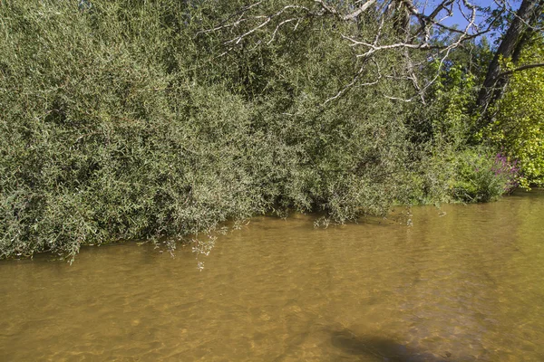 Alberche åstranden i Toledo — Stockfoto