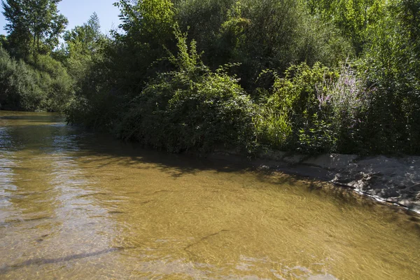 トレドの Alberche 河岸侵食 — ストック写真