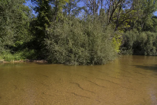 Alberche rive de Tolède — Photo