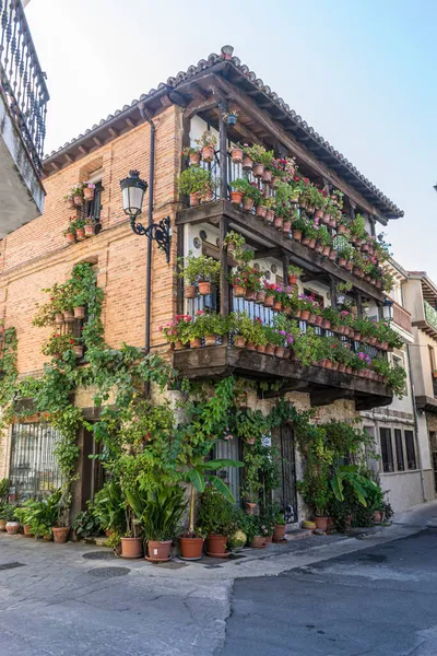 Facade Old Building Flower Pots Tourism Central Spain Typical Plant — Stock Photo, Image