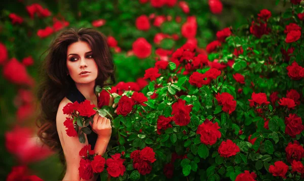 woman over red roses bush