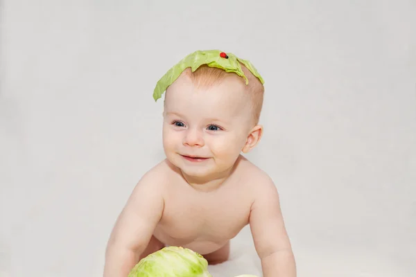 Born from cabbage — Stock Photo, Image